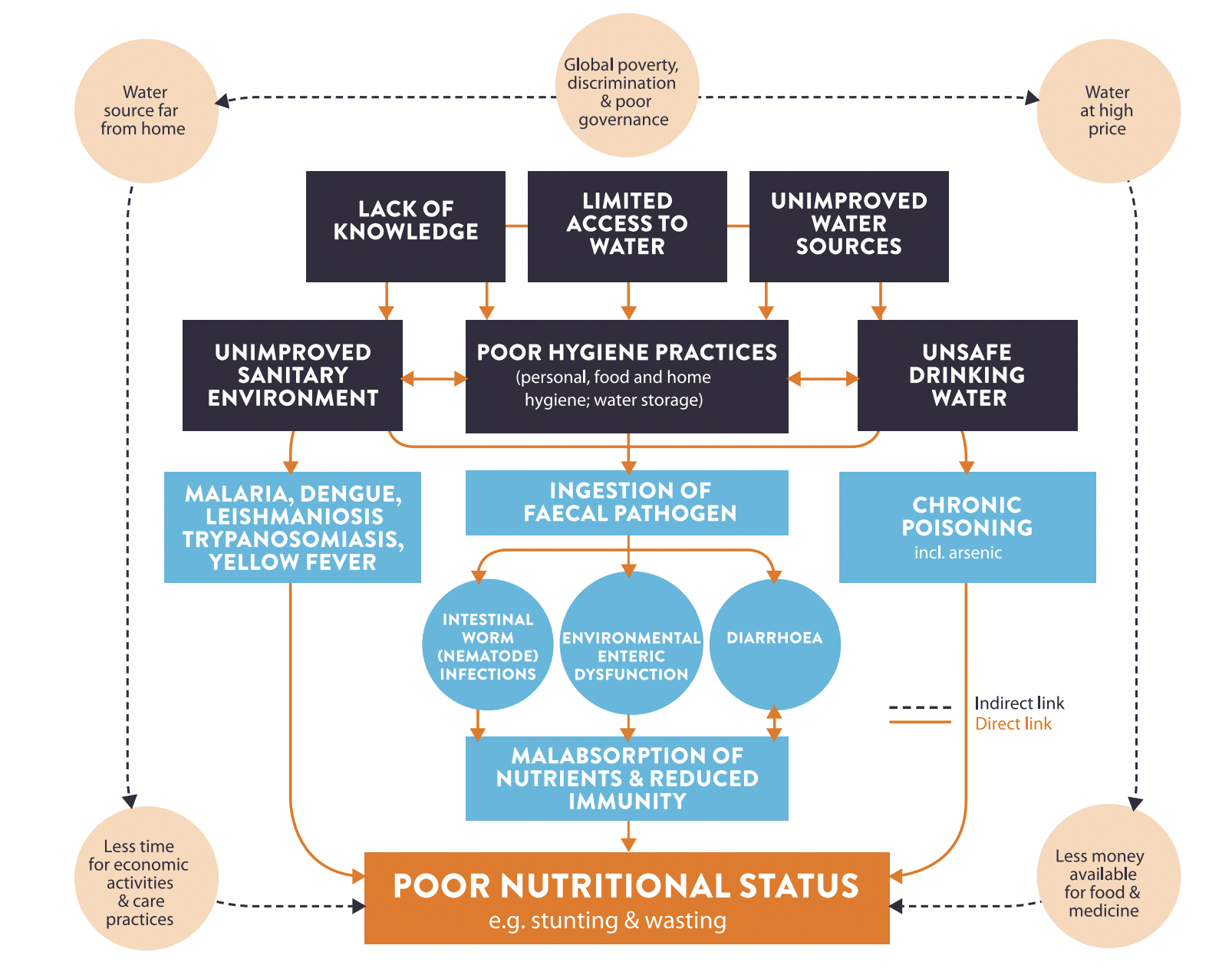 ©Dangour at.al (2013), adapted by Lapegue J., ACF (2014) “WASH and nutrition factsheet”